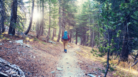 Guía turística de la Sierra Sur de Jaén Valdepeñas de Jaén