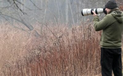 Turismo de observación de fauna: guía de buenas prácticas