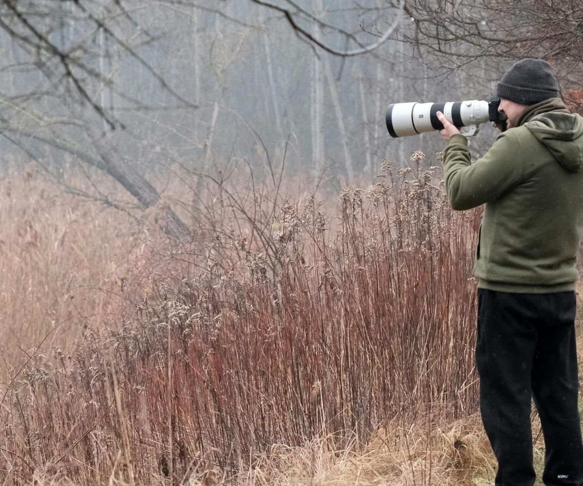 imagen-turismo-de-observacion-de-fauna Turismo de observación de fauna guía de buenas prácticas